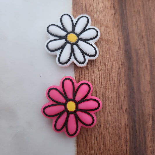 Daisy flowers white and pink-