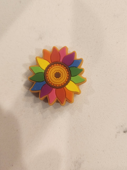 Rainbow Sunflower