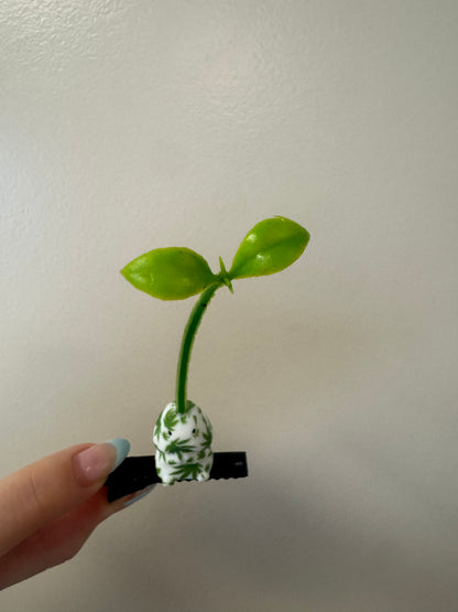 Weed Richard Rave Sprout