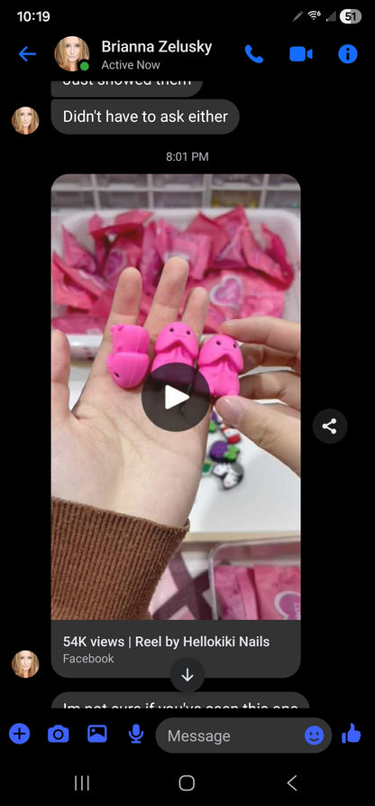 Evidence – Daisyland Richard Copyright Infringement & Shopify Policy Circumvention (VA0002449810) (Hellokikinails)
