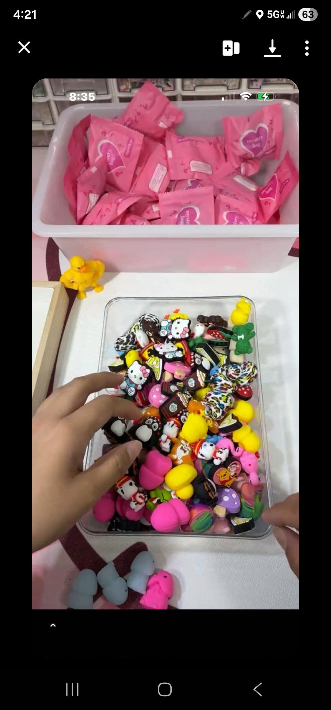 Evidence – Daisyland Richard Copyright Infringement & Shopify Policy Circumvention (VA0002449810) (Hellokikinails)