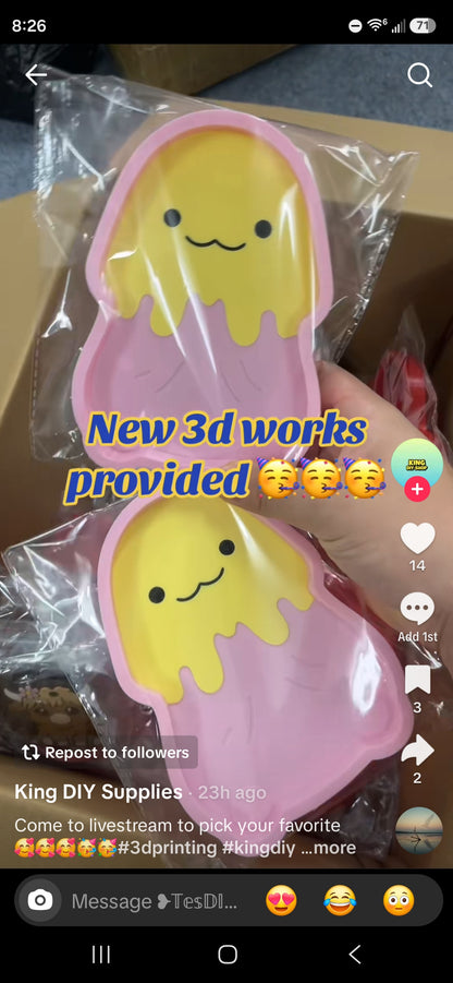 Kingdiyshop evidence