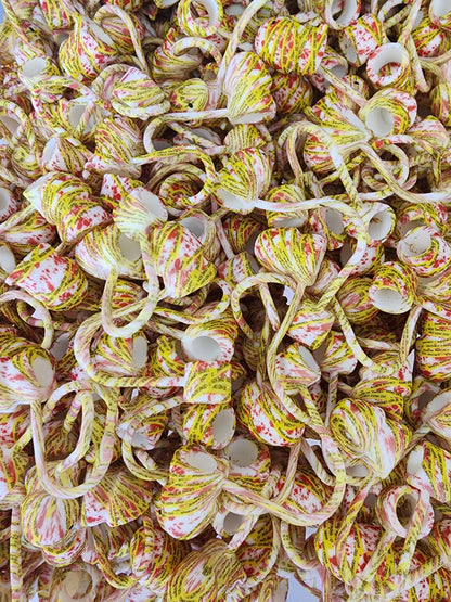 New release richard strawtoppers copyrighted ©️ tiktok straw toppers