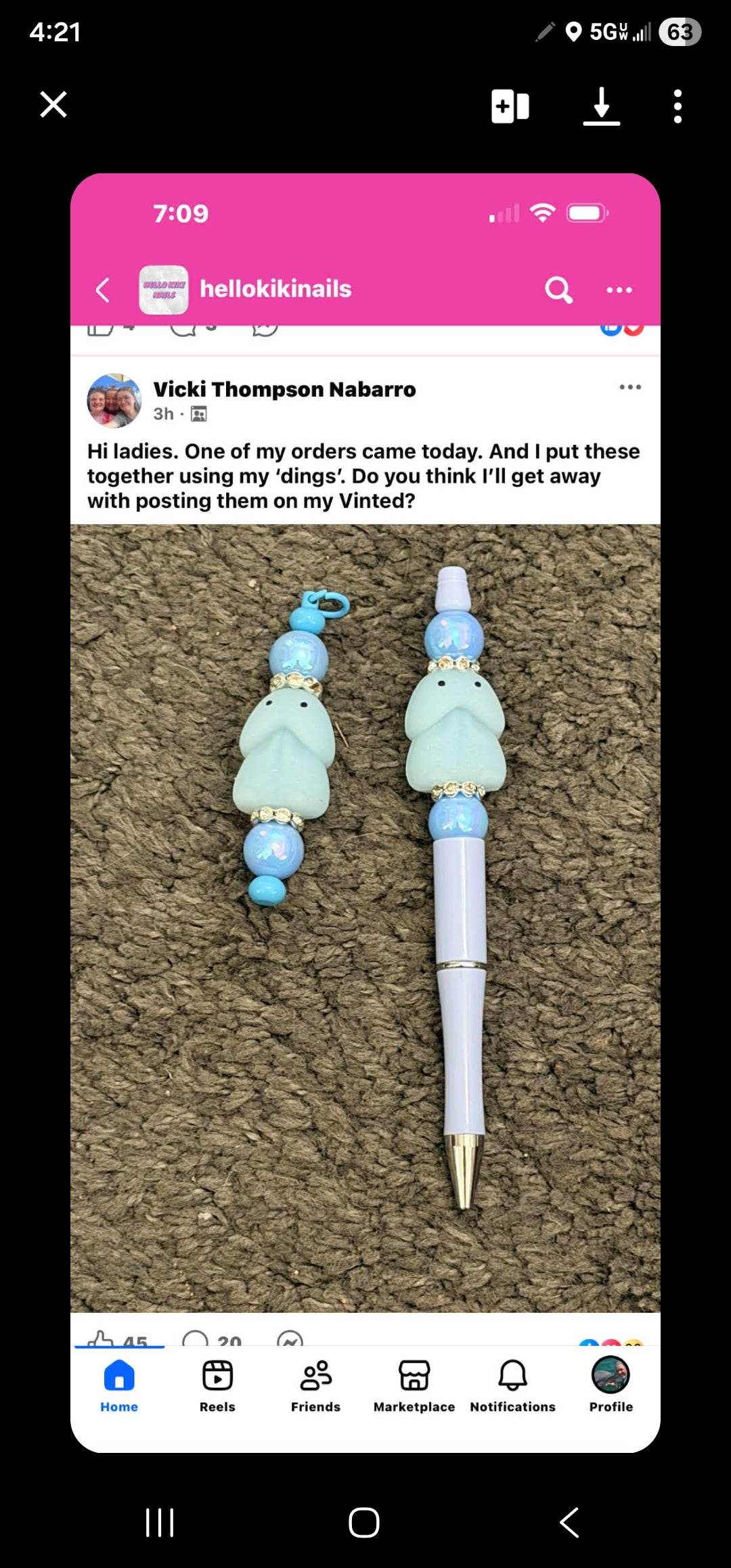 Evidence – Daisyland Richard Copyright Infringement & Shopify Policy Circumvention (VA0002449810) (Hellokikinails)
