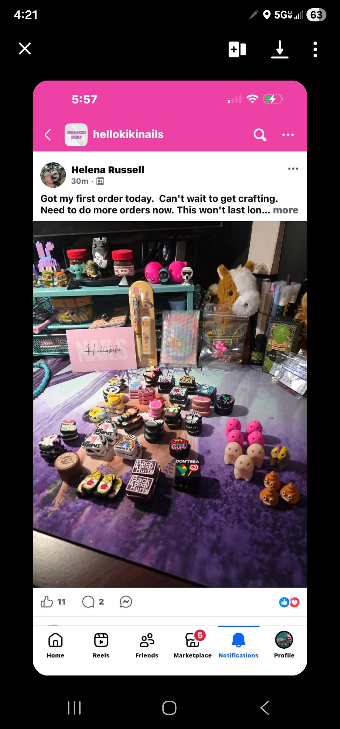 Evidence – Daisyland Richard Copyright Infringement & Shopify Policy Circumvention (VA0002449810) (Hellokikinails)
